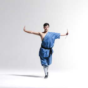 Wushu 8 — figure reference